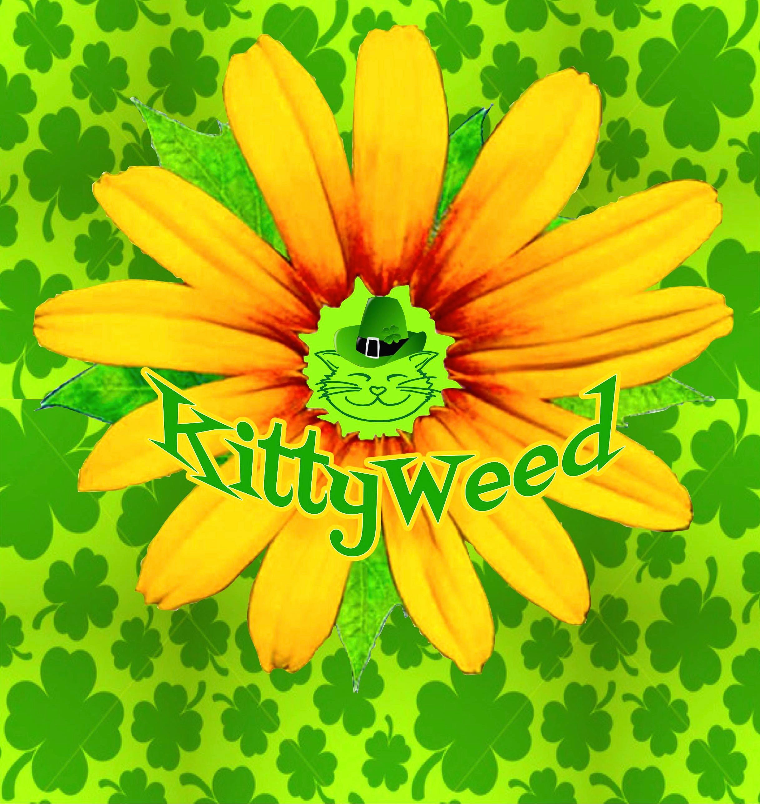 Cat Toy With Catnip Organic Catnip Blunt Toy All Natural Etsy UK