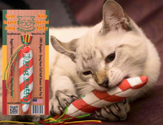 Novelty cat toys online