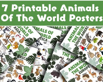 Animales adorables del mundo – Set de 7 pósteres / Arte mural para el aula / Incluye nombres de animales / Láminas educativas y adorables de animales