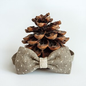 May include: A brown bow tie with white polka dots and a beige center, set against a large brown pine cone. The bow tie is made of textured fabric, suitable for formal or casual wear.