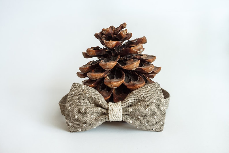 May include: A brown bow tie with white polka dots and a beige center, set against a large brown pine cone. The bow tie is made of textured fabric, suitable for formal or casual wear.