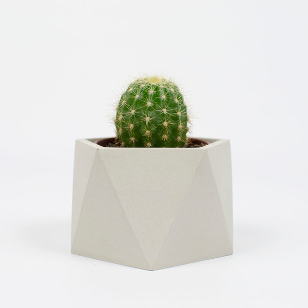 Small Concrete Planter | Geometric | Cactus | Succulents | Air Plant