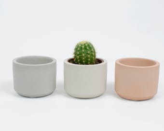 Set of 3, Small Cylinder Pots, mini cactus pots, small indoor plant pots