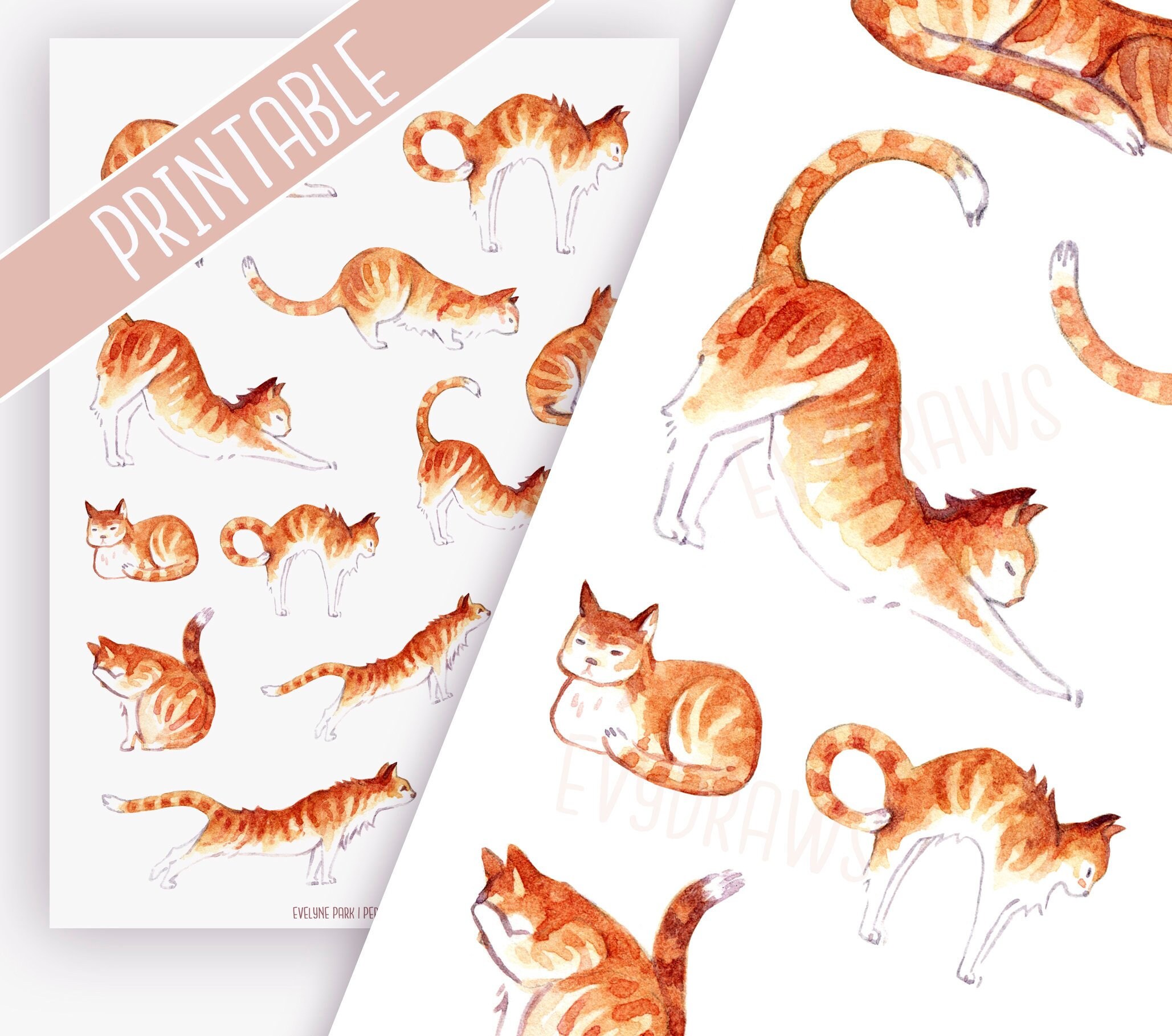 Cat Planner Decor Stickers PRINTABLE Cute Hand Drawn | Etsy
