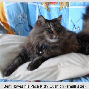 Cat cushion