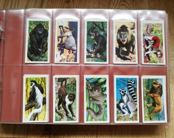 rare brooke bond tea cards Vintage Brooke Bond Tea Card Album main image 1