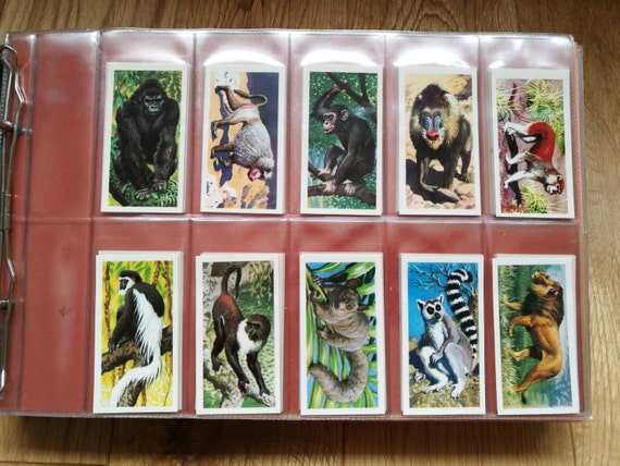 Vintage Brooke Bond Tea Cards - Thirteen Complete Sets in One Album.  Vintage Collectors Tea Cards - Brooke Bond. Brooke Bond Tea Cards