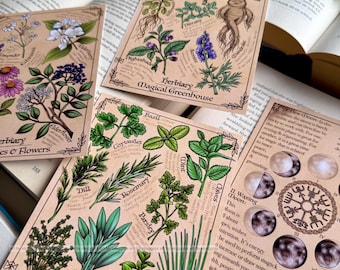 Mini Kunstdruck: Hexenbuch / Größe A6