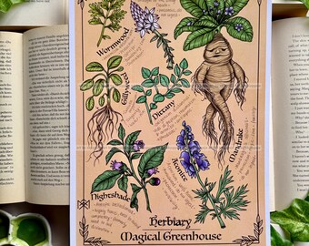 Kunstdruck: Herbarium - Magisches Gewächshaus / Größe A4
