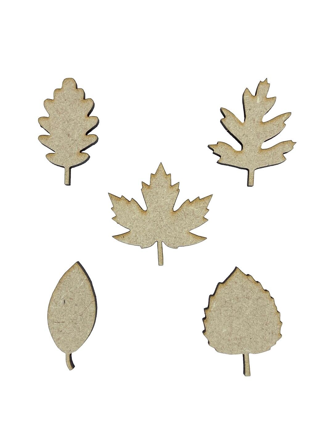 180 Feuilles Découpées Forme Chêne Automnales - Scrapbooking, Carterie, DIY