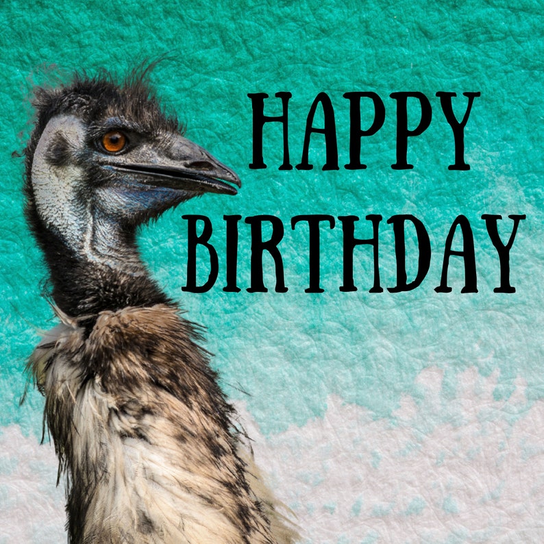 Emu Birthday Card | Emu Card | Emu - Etsy Australia
