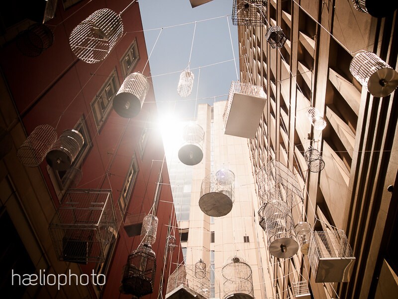 The Golden Cage Birdcage Alley Sydney Travel Photo Art Etsy