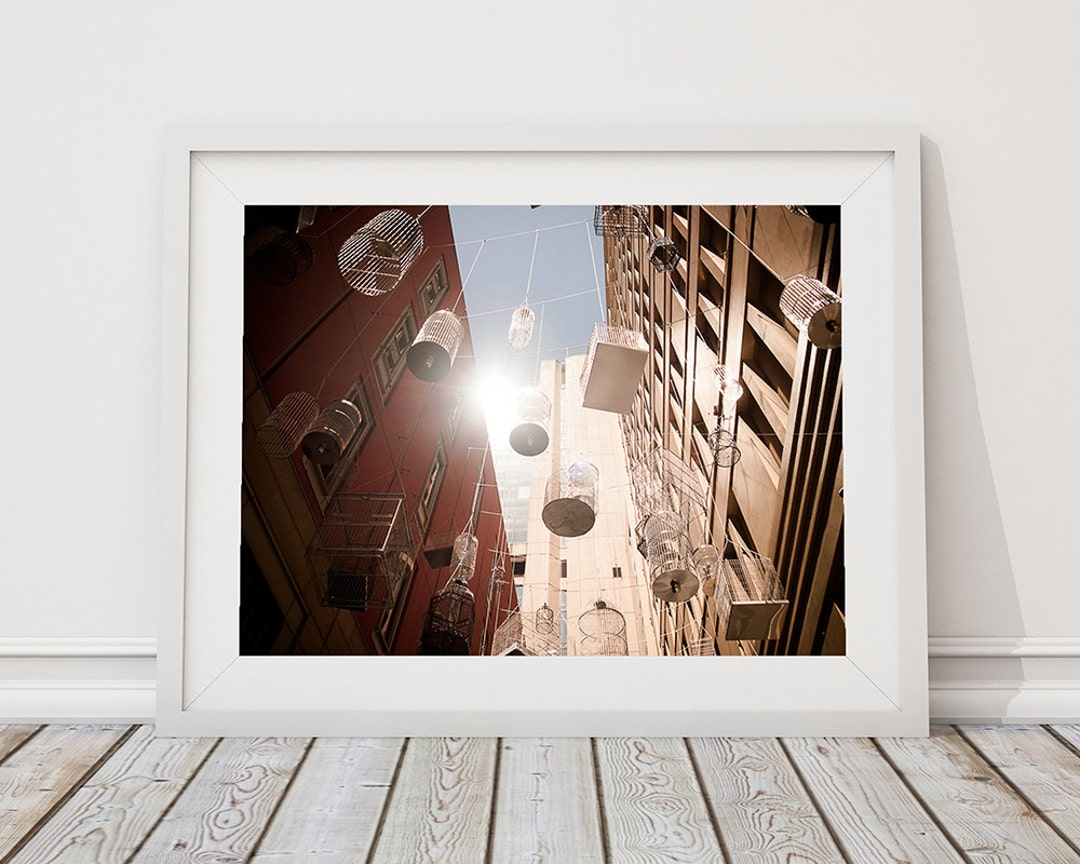 The Golden Cage Birdcage Alley Sydney Travel Photo Art Etsy