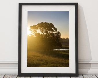 Sun models | Australia | Country scene | Travel photo art print | Limited edition | Melbourne photographer