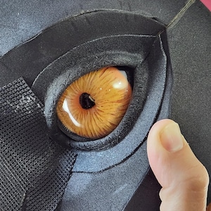 Kit de ojos de criatura realistas DIY de 5 cm / Pupila redonda pequeña / Disfraces y cosplay imagen 1