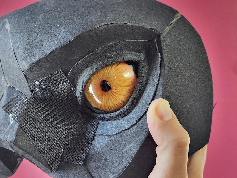 Kit de ojos de criatura realistas DIY de 5 cm / Pupila redonda pequeña / Disfraces y cosplay imagen 1