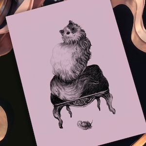 Ragdoll cat elegant A5 illustrated print