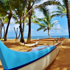 Outrigger Canoe (&#39;Iako), Maui
