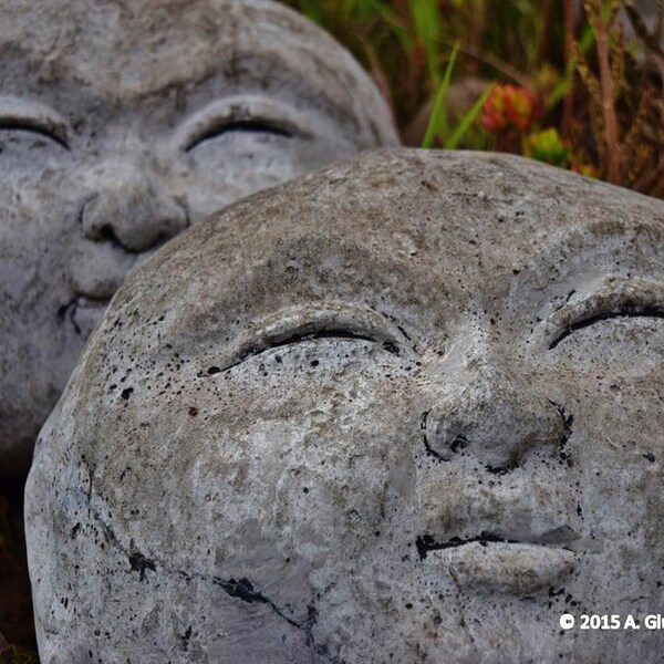Stone Guardians on the Hill, Maui