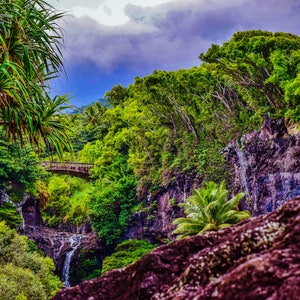 Waterfall and Bridge in the Rainforest, Maui