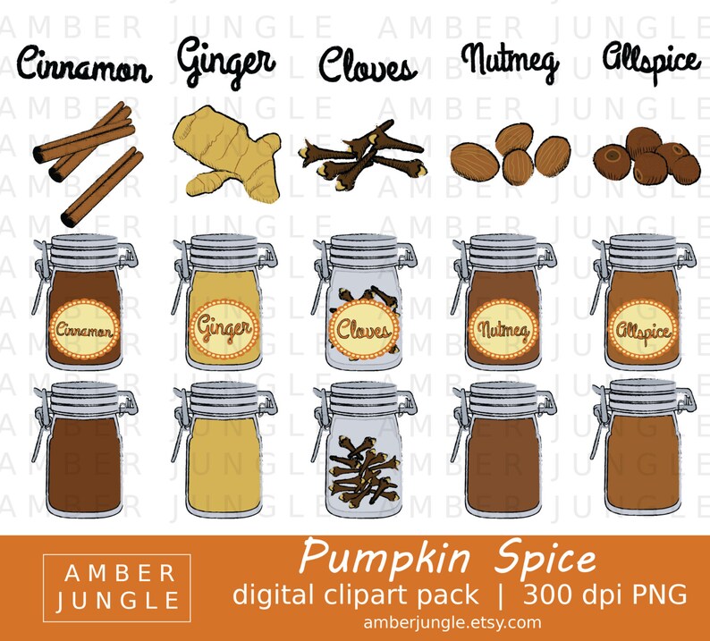 Pumpkin Spice Clipart Instant Download Pumpkin Pie Spice ...