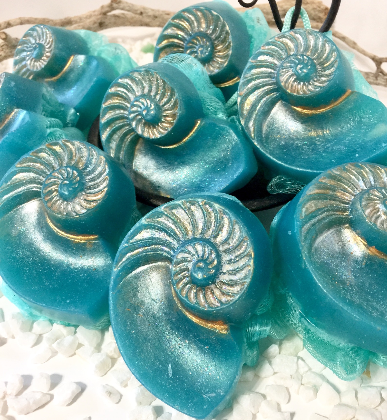 Sea Shell Soap and Sponge Ocean Treasures - Etsy
