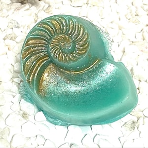 Sea Shell soap and sponge  " Ocean Treasures "