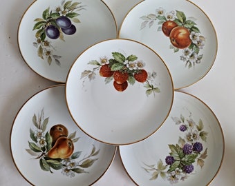 Vintage Hutschenreuther fruit Plates ~ Luncheon Plates ~ Bavaria Fine Bone China ~ Set of Five