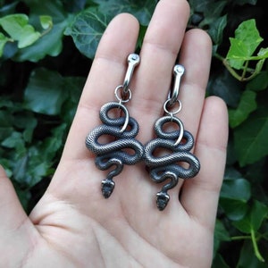 Ear Weights 'Silver Asudem'