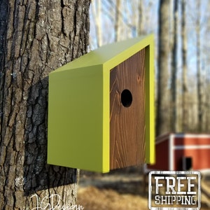 Modern Handmade Wooden Birdhouse - Minimalist - Spring Green with Kona Cedar Face - Unique Housewarming / Closing Gift - Father's Day