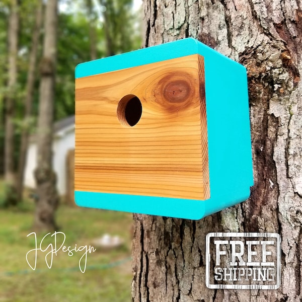Bird House With Camera Etsy
