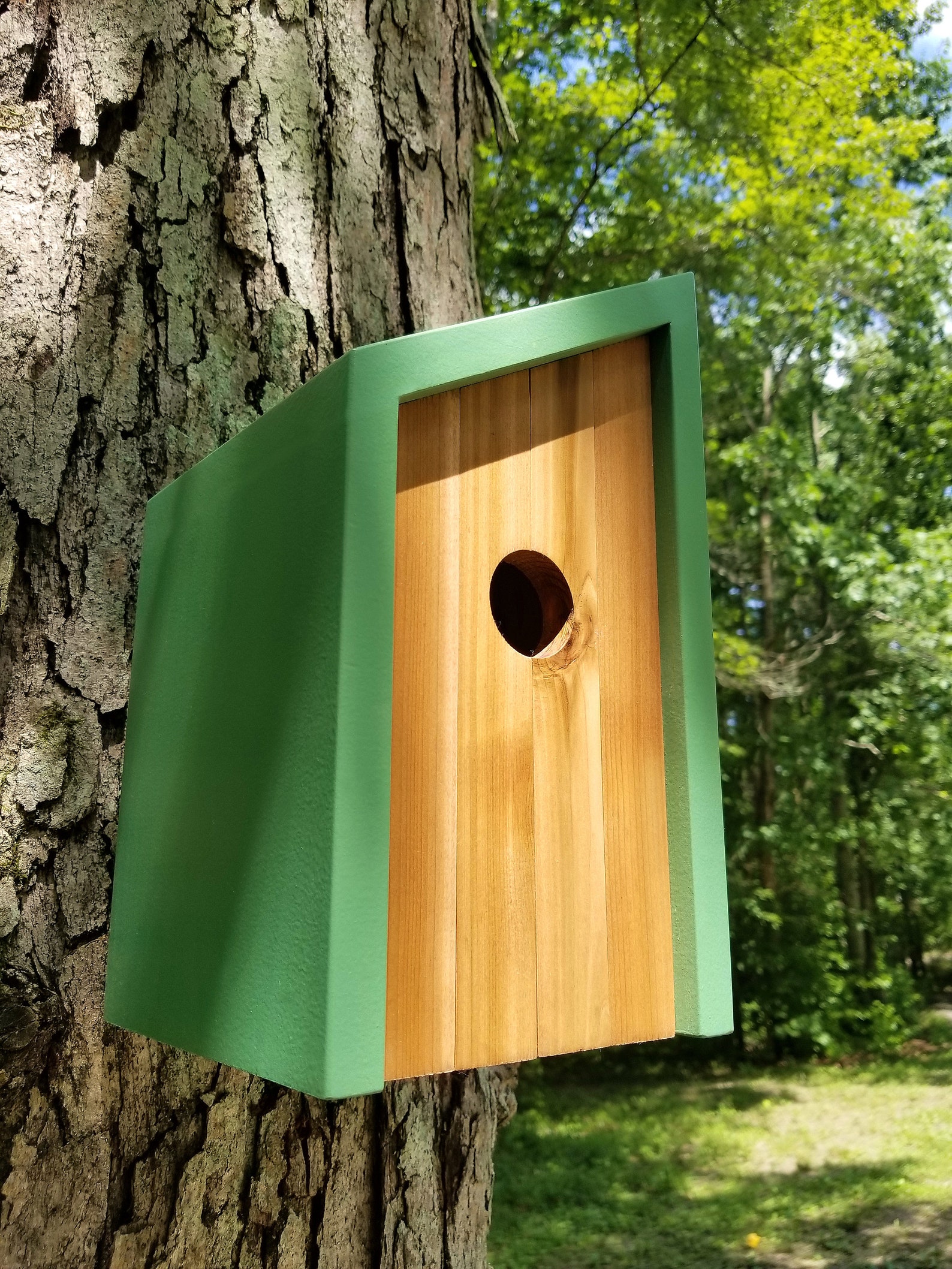 Birdhouse Modern Wooden Birdhouse Minimalist Green Turtle Etsy