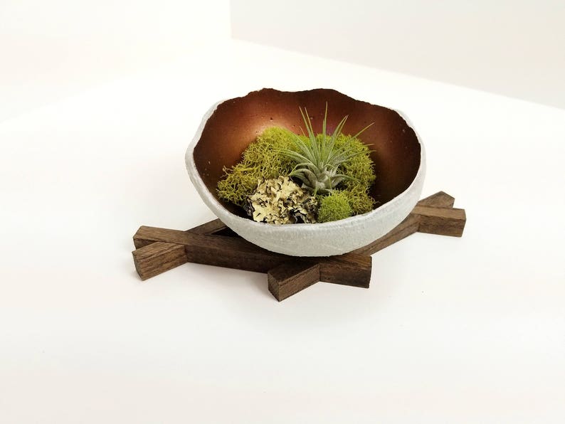 Copper Concrete Bowl Air Plant Holder Candle Holder Smudge Bowl Ring Dish Wedding Gift Desk Decor Catchall Trinket Dish image 7