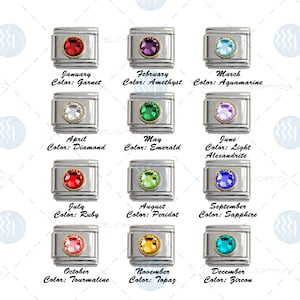 Birthstone Family Charm Italian Modular Link, 2-Tone Silver Gold Stainless Steel