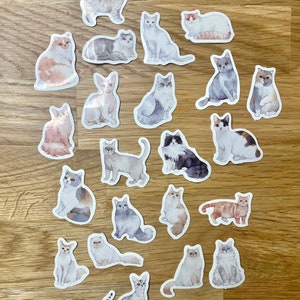 Lot de 20 autocollants sur le thème des chats - Pack of 20 cat-themed stickers