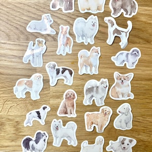Lot de 20 autocollants sur le thème des chiens - Pack of 20 dogs-themed stickers