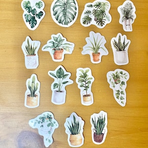 Lot de 15 autocollants sur le thème des plantes - Pack of 15 plants-themed stickers