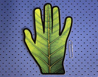 Leaf Veins Hand Bumper Sticker