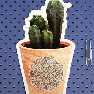 May include: A terracotta pot with a decorative design on the side, containing three green cactus plants.