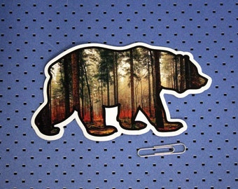 Bear Forest bumper sticker