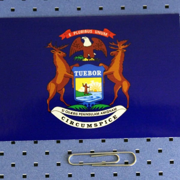 Michigan State Bumper Sticker - Etsy