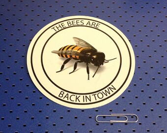 The Bees Are Back In Town Bumper Sticker