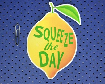 Squeeze the Day, Funny bumper sticker