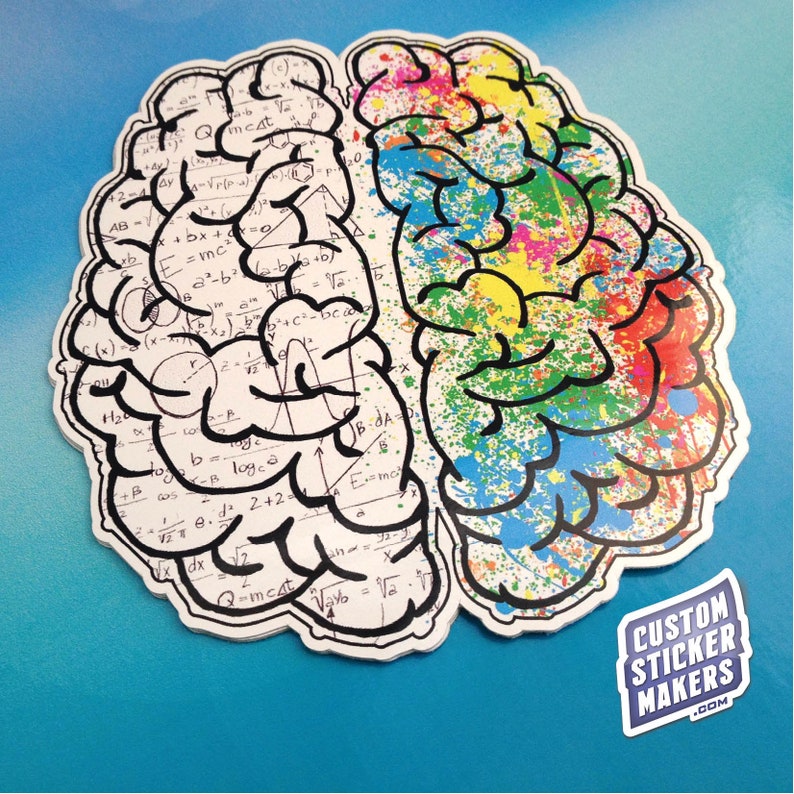 Brain Hemispheres Bumper Sticker | Etsy