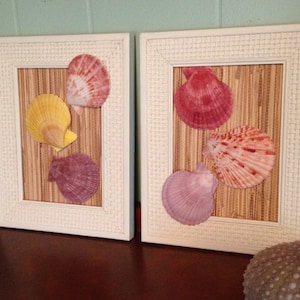 Set of two seashell wall hangings