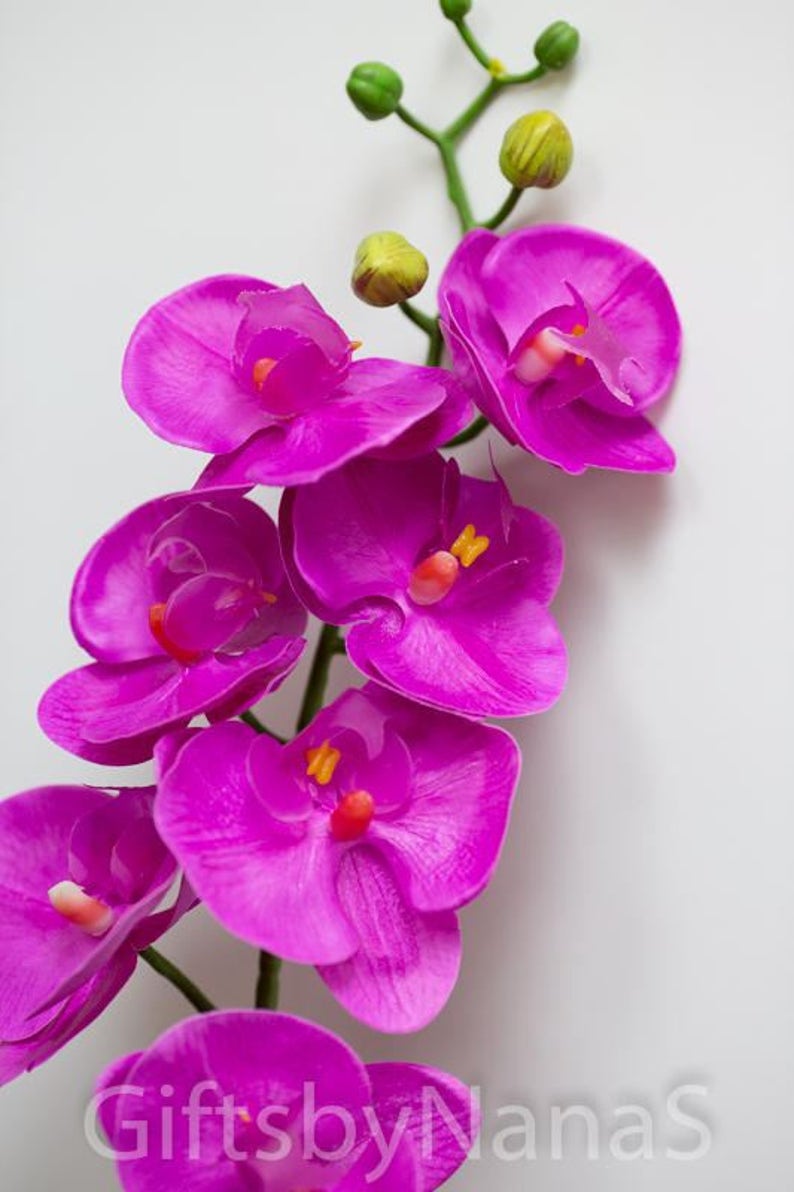 Hot pink real touch orchids real touch flowers tropical pink Etsy