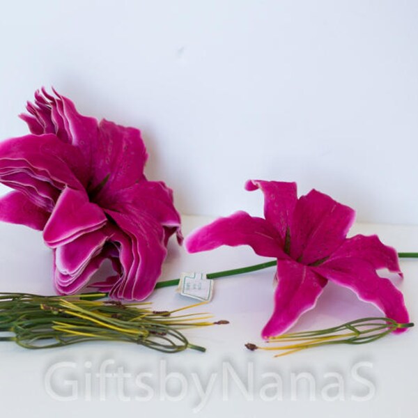 Hot Pink Lilies Etsy
