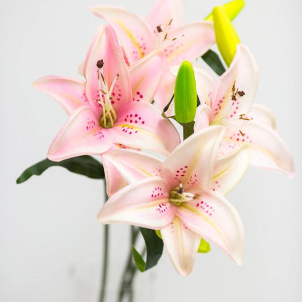 Tiger Lily Wedding Etsy