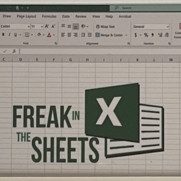 Funny Fridge Magnet: "Freak in the sheets"  Hand made 2"x3" Funny Microsoft Excel Fridge Magnet