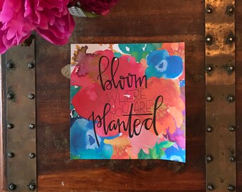 Bloom Where You are Planted
